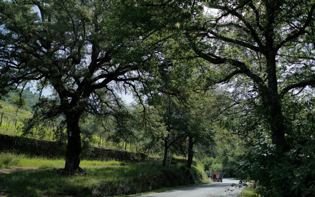 Il cammino della Setteponti