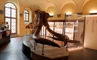 I musei inusuali del Valdarno, luoghi di sorpresa