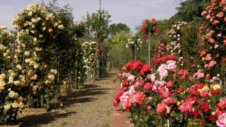 Fiati all’Opera nel Roseto Botanico Fineschi