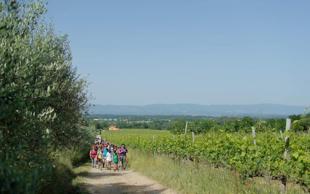 The Cammino della Setteponti, a route of infinite wonder