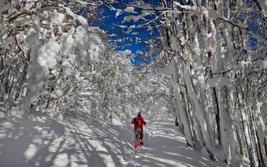 When the Pratomagno is covered with snow