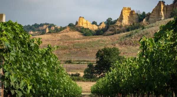 Vacanze nella natura del Valdarno